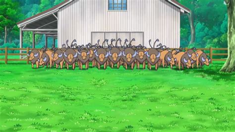 Ash's Tauros .